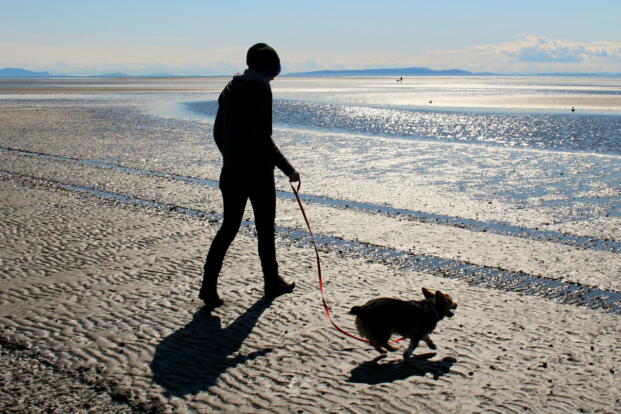 mens en hond op het strand